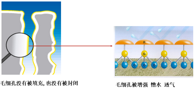 有機(jī)硅建筑防水劑工作原理